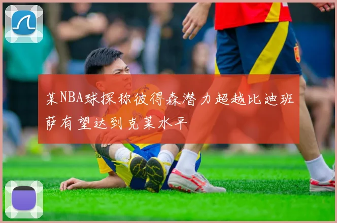某NBA球探称彼得森潜力超越比迪班萨有望达到克莱水平