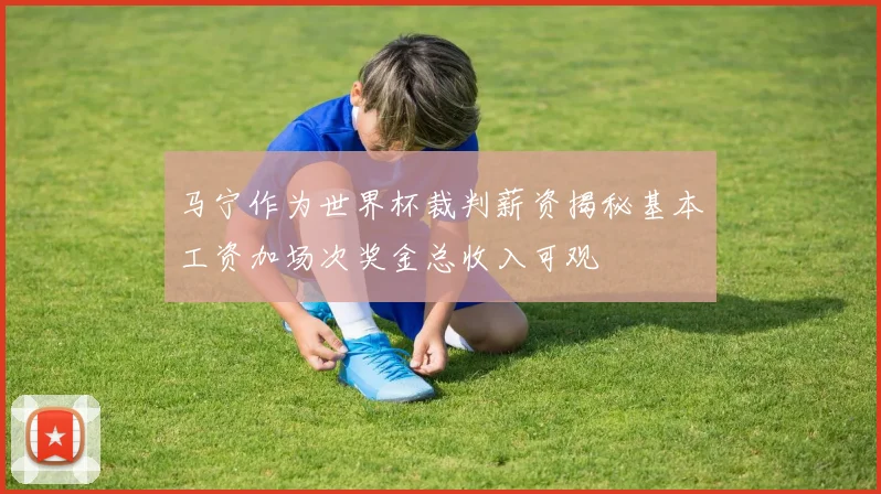 马宁作为世界杯裁判薪资揭秘基本工资加场次奖金总收入可观